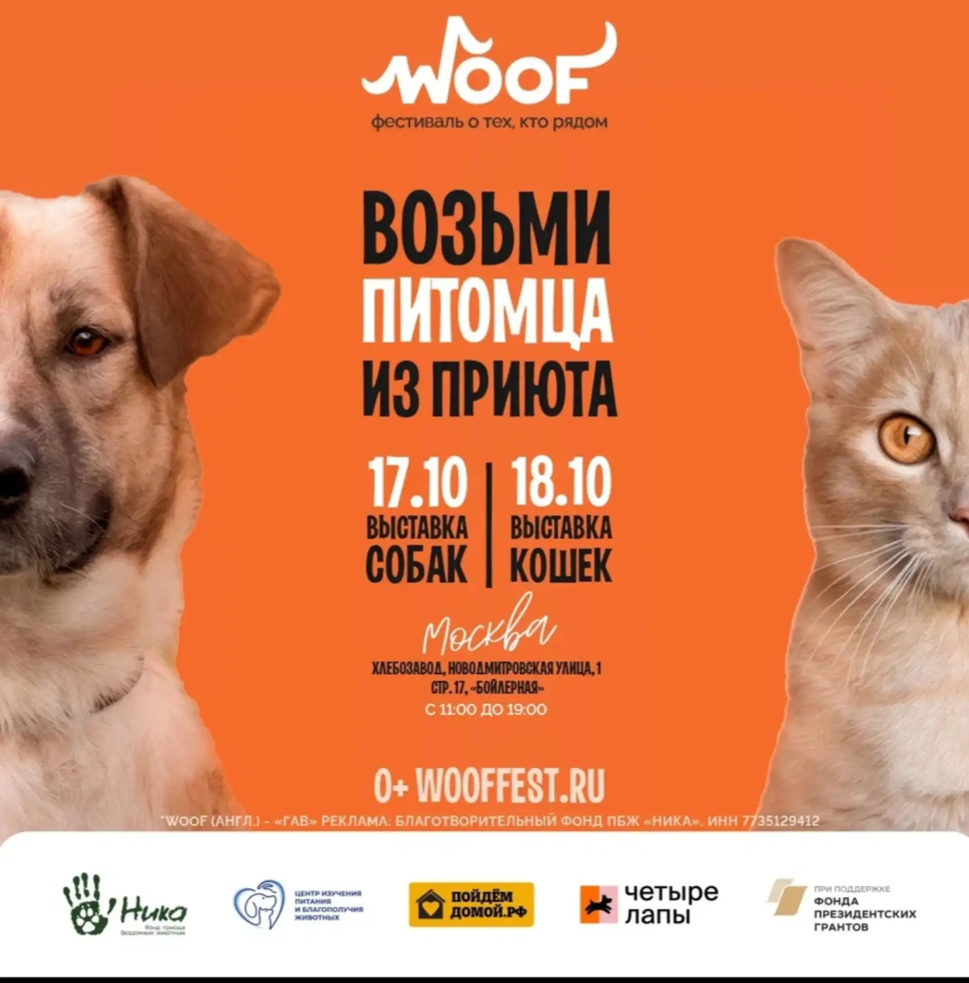 До #WOOFFEST осталось совсем немного! 🐾