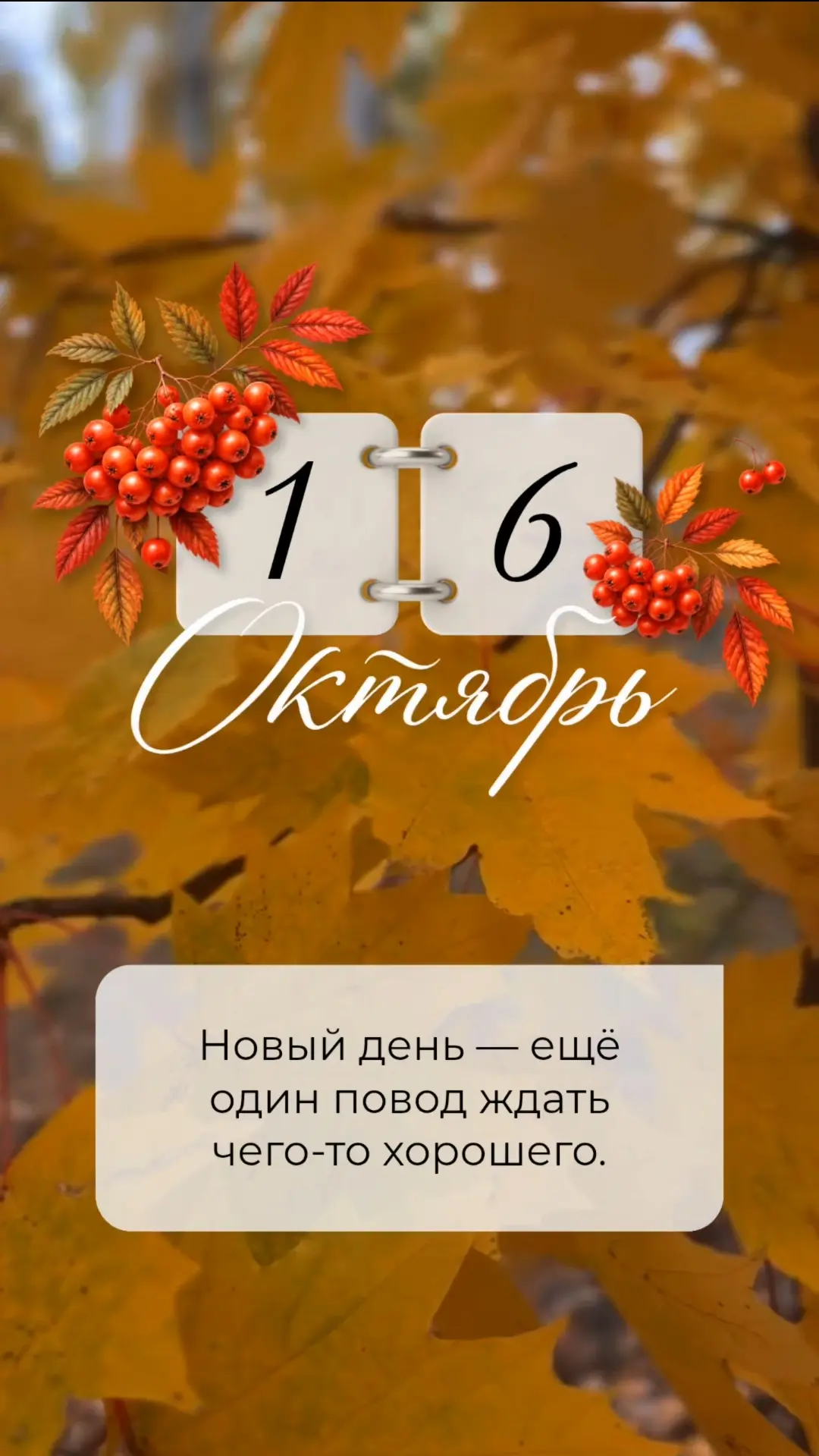 Новый день — ещё один повод ждать чего-то хорошего.
