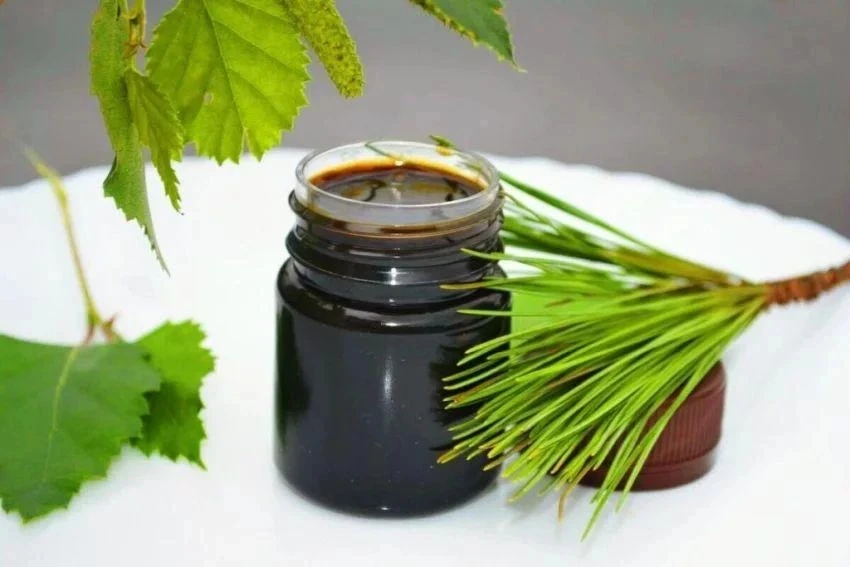 🌿 Берёзовый дёготь: секреты здоровья внутри и снаружи