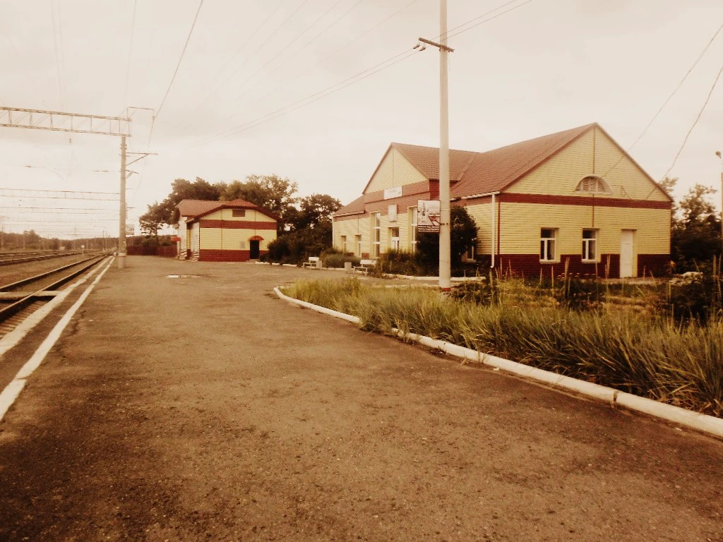 Фото