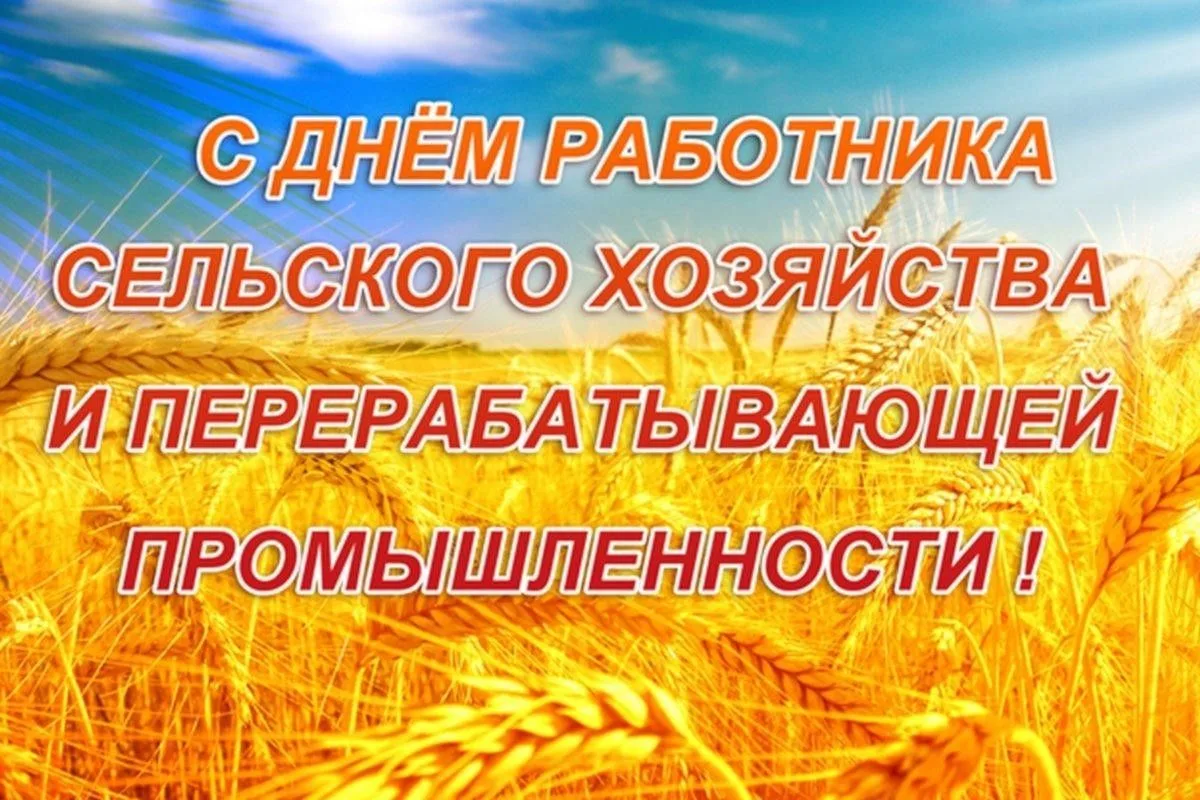 Уважаемые труженики села, работники агропромышленного комплекса, ветераны отрасли!