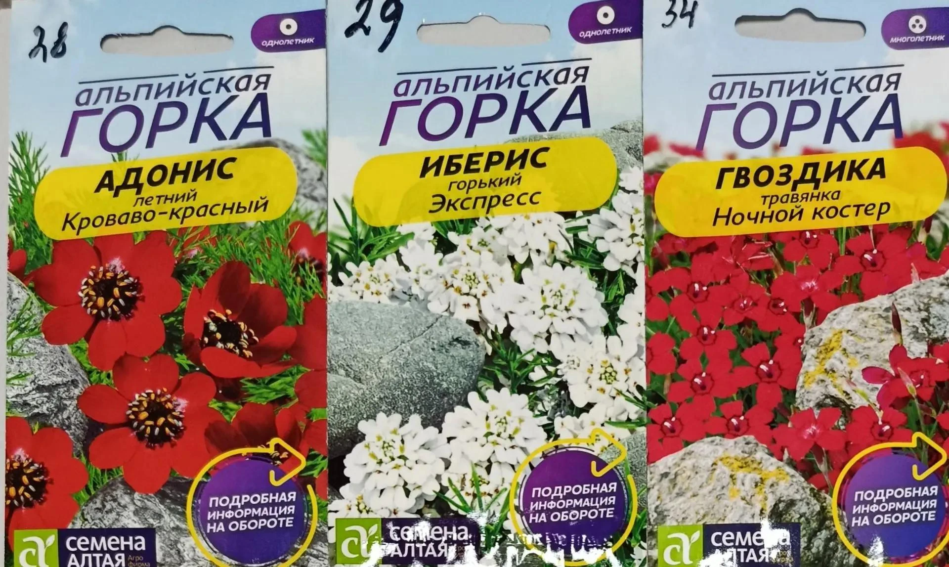 ПОДЗИМНИЙ ПОСЕВ АЛЬПИЙСКОЙ ГОРКИ