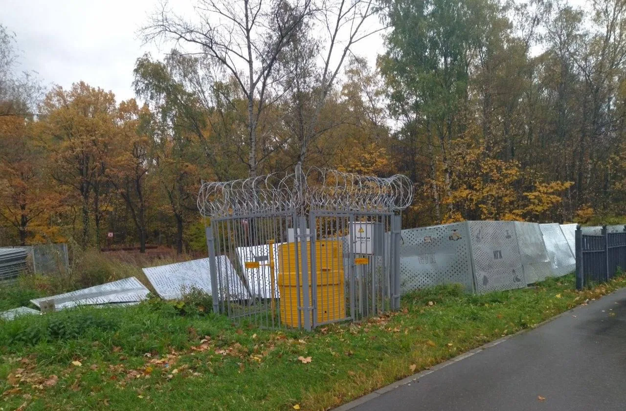 🛠 На Ляхвинском пруду начались работы