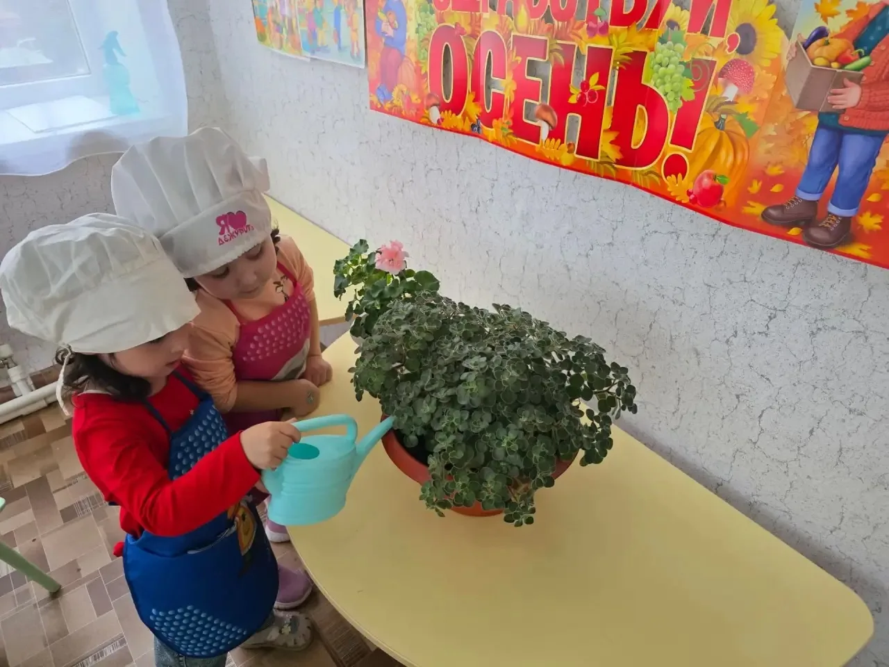 У нас сегодня ответственный день — дежурство! 🧑‍🍳🪴