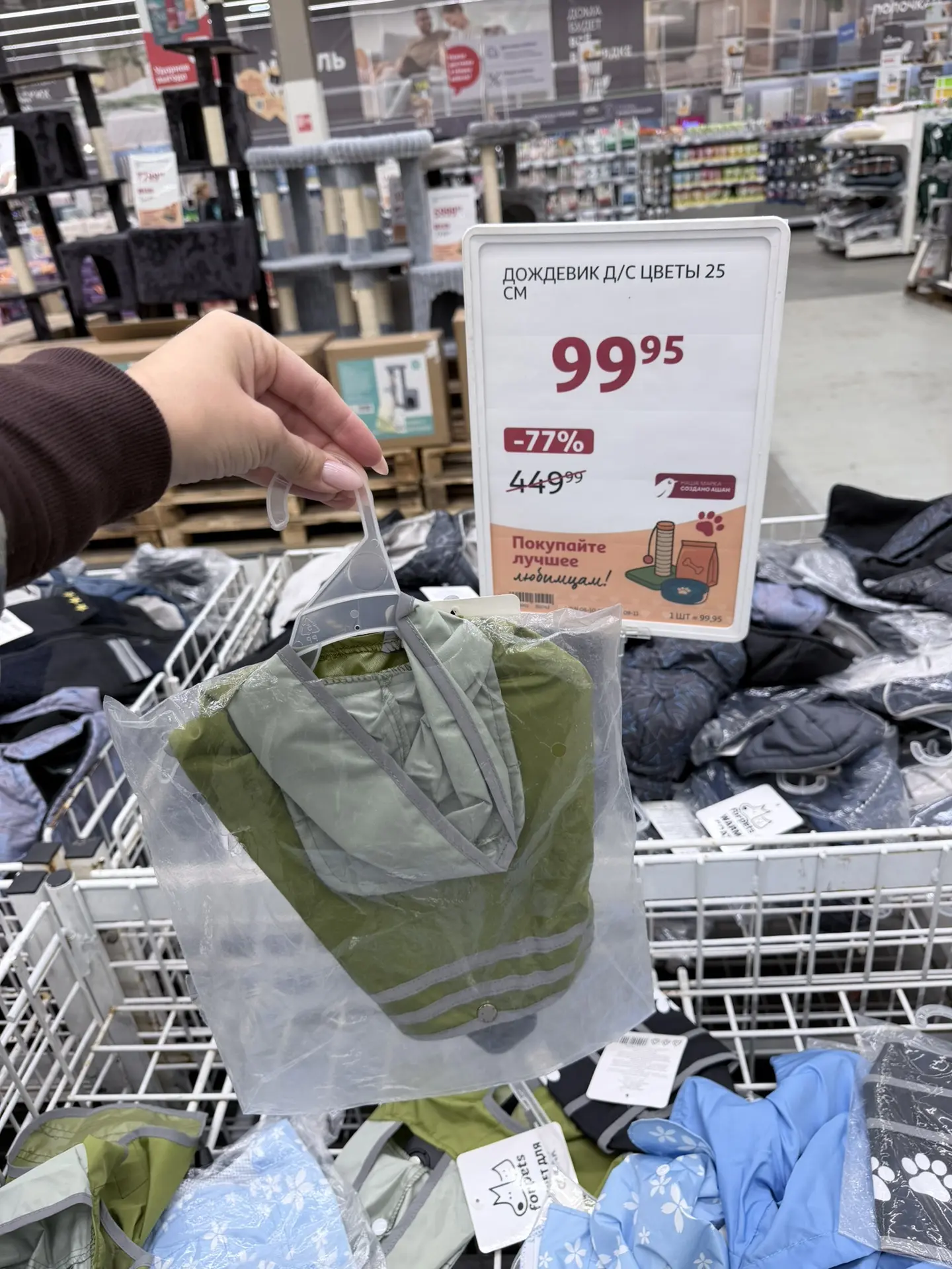 Одежда для собак