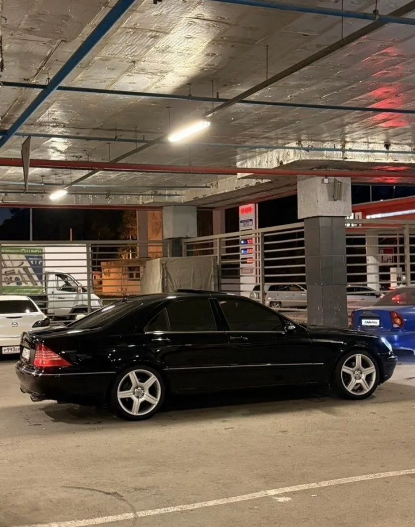 Продам живого w220