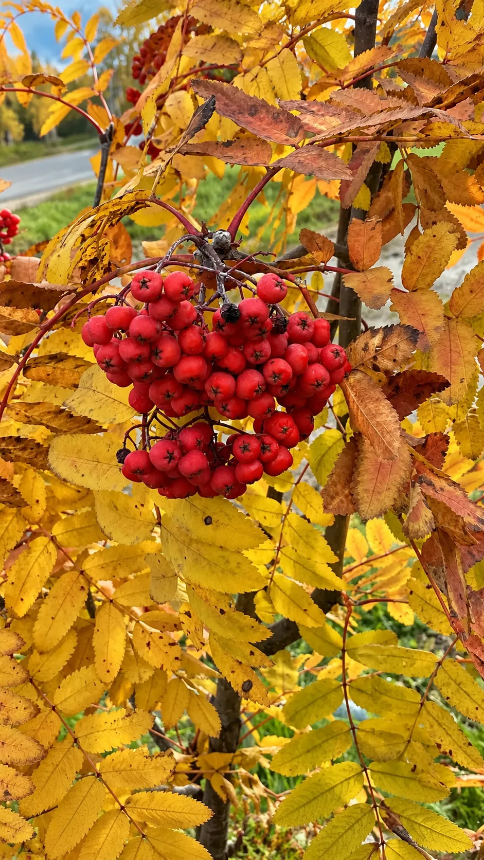 Доброе утро 🍂