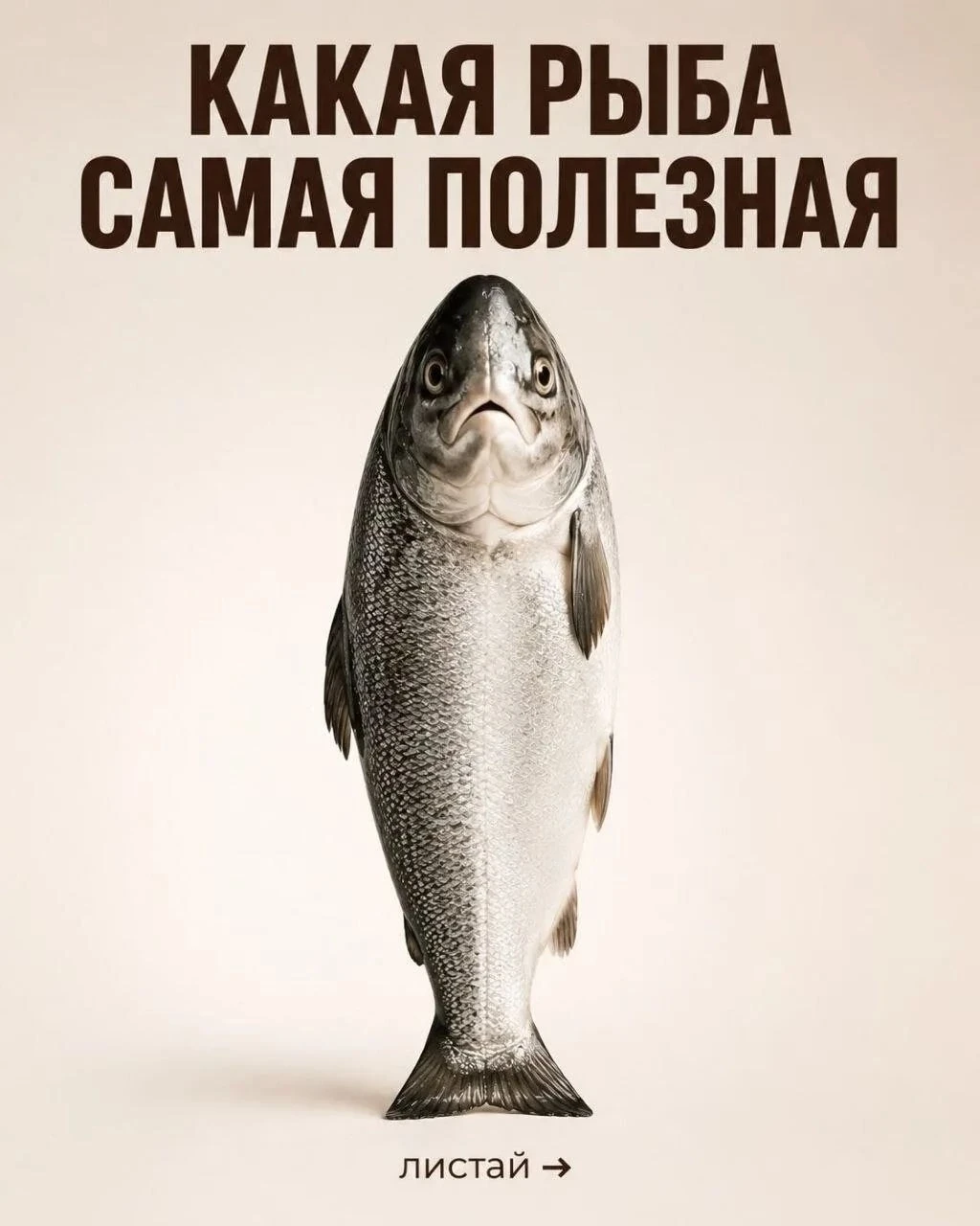 🤷Не вся рыба одинаково полезна🧐