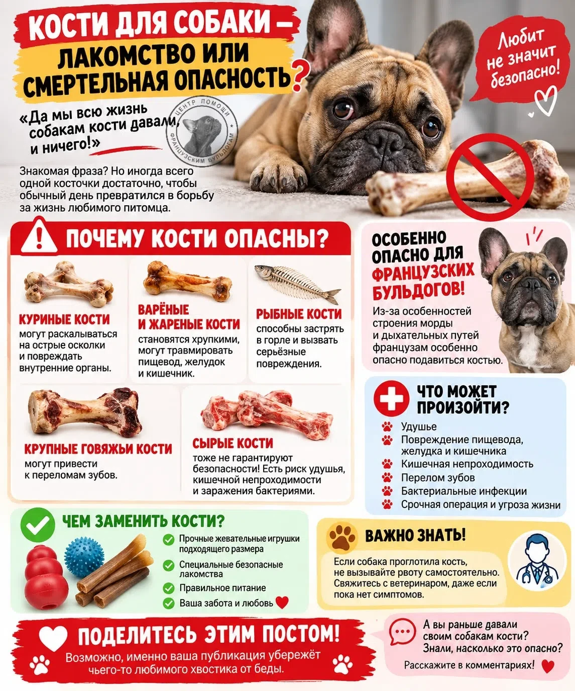 КОСТИ ДЛЯ СОБАКИ — ЛАКОМСТВО ИЛИ СМЕРТЕЛЬНАЯ ОПАСНОСТЬ? 🦴⚠️