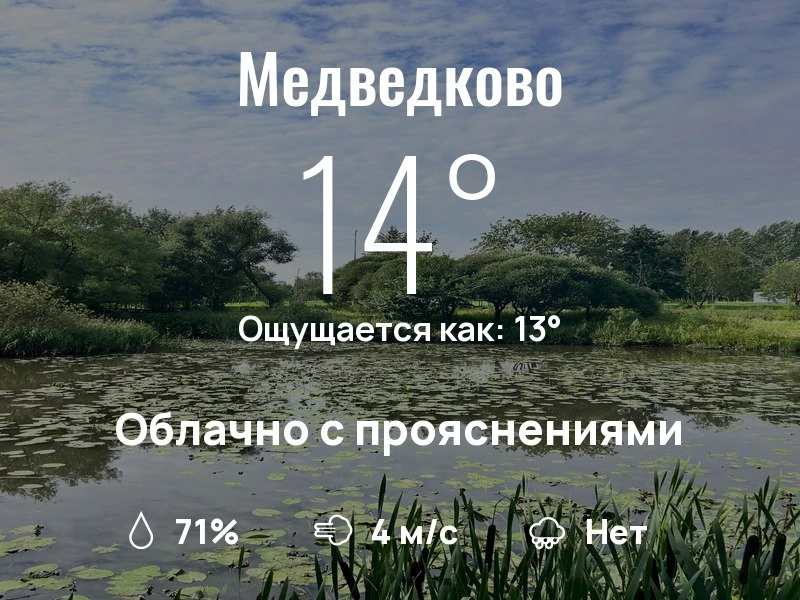 Что с погодой в Медведково?