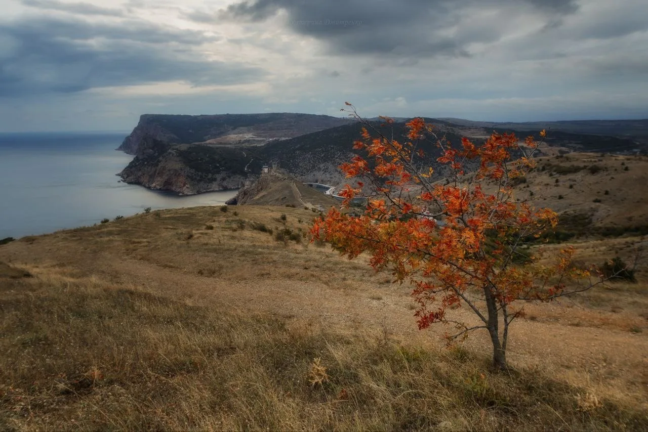 Балаклава