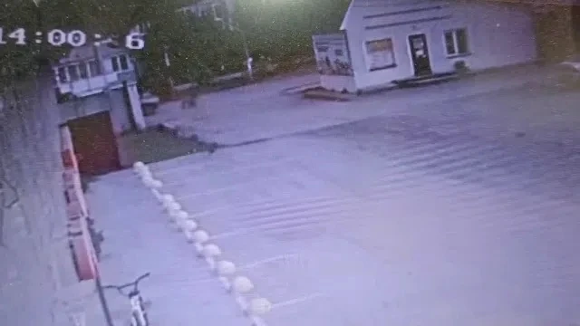 🚑 В Чернушке водитель сбил ребёнка с велосипедом на пешеходном переходе. Авария произо...