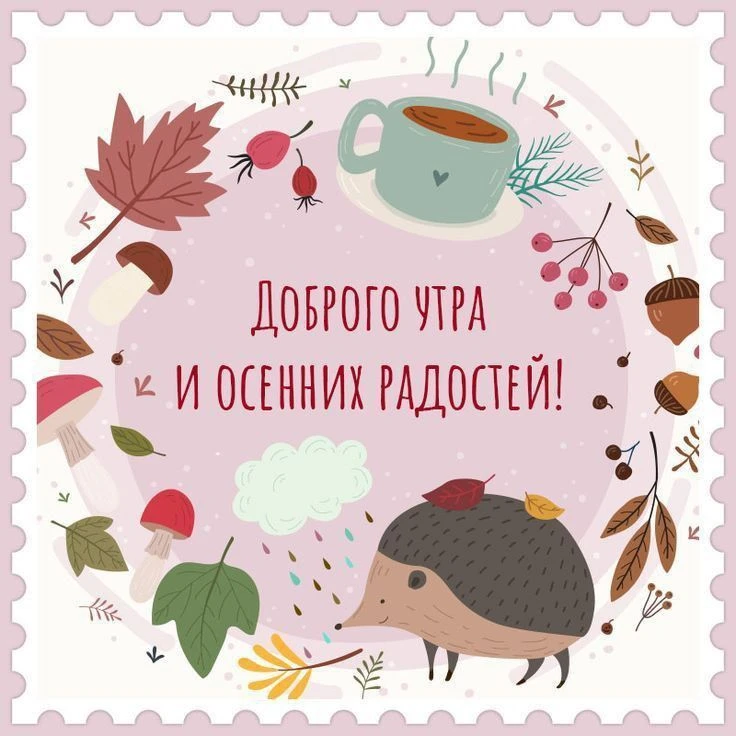 Доброе утро дорогие покупатели ☺️