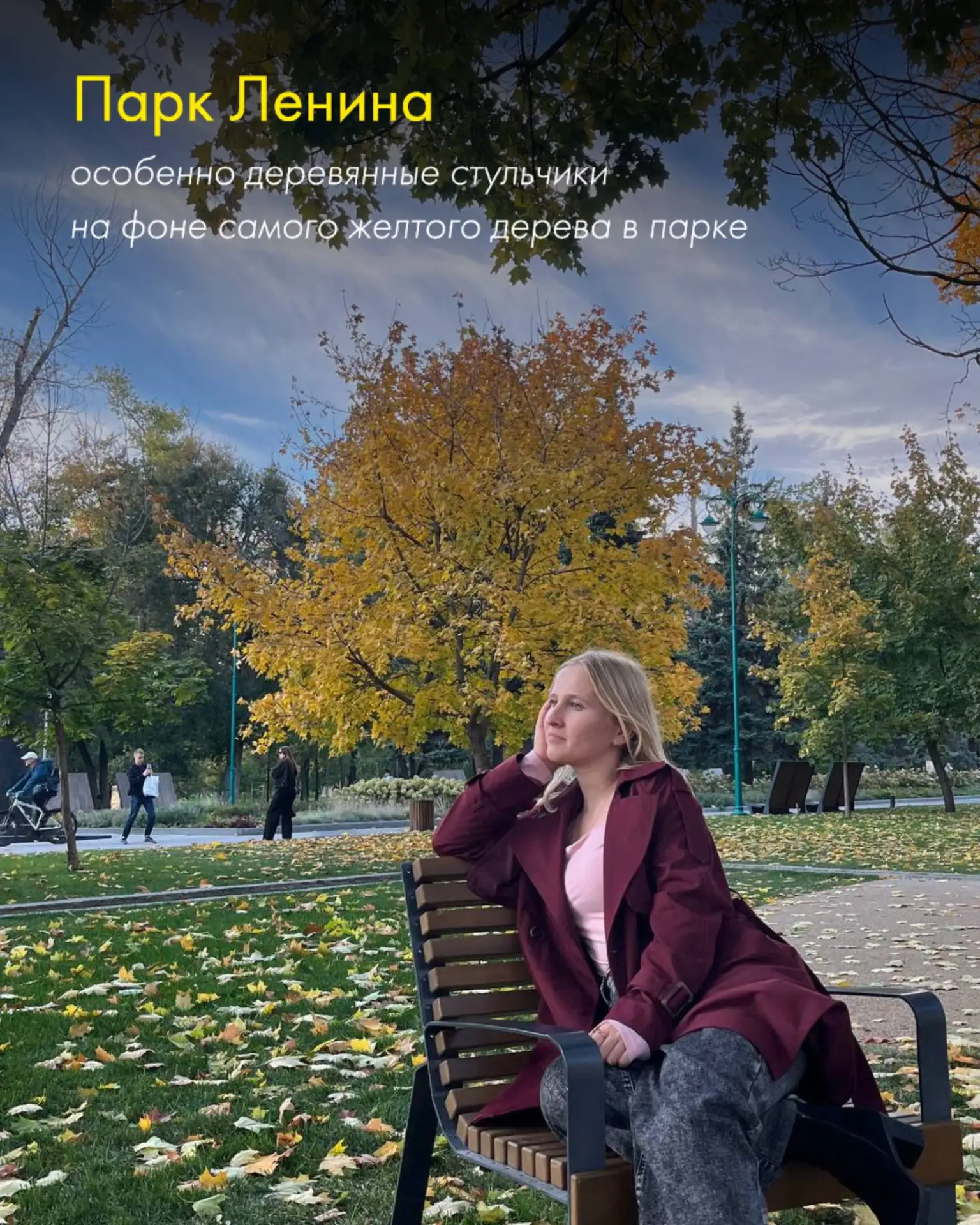 Ждём выходные с хорошей погодой, чтобы пойти фотографироваться в листьях.
