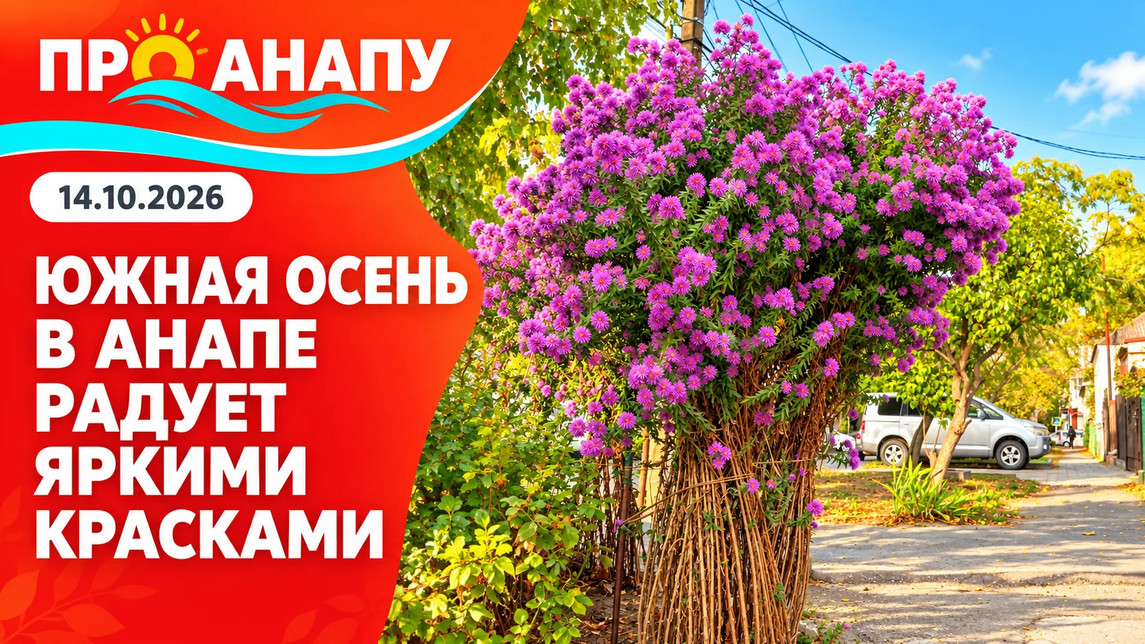 Южная осень в Анапе продолжает радовать яркими красками