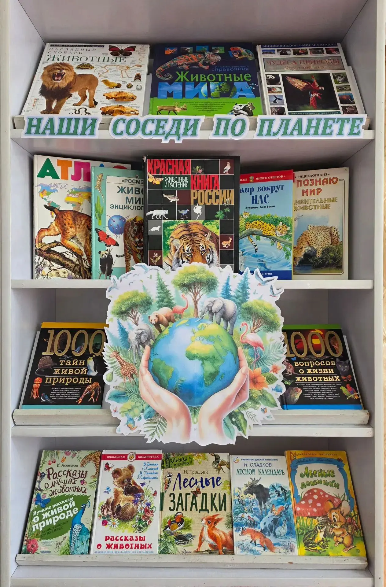 🐾 О тех, кто бегает, летает и плывет: в библиотеке открылась новая выставка!