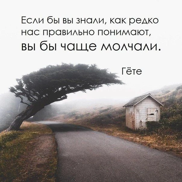 Цитата принадлежит Иоганну Вольфгангу Гёте — одному из величайших немецких поэтов, мысл...