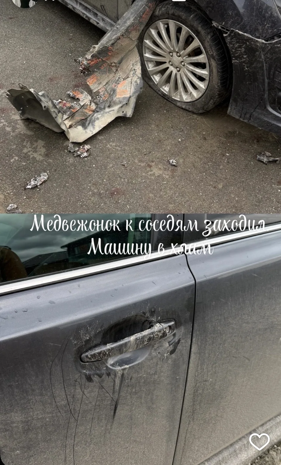 Проделки медвежонка