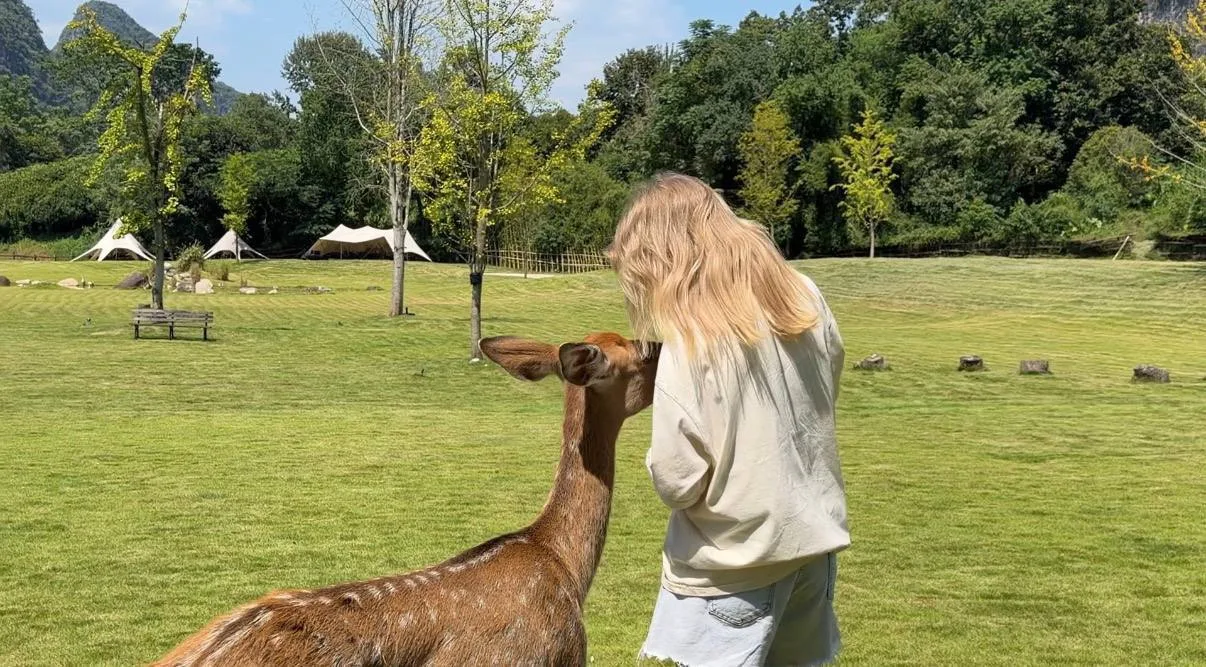 🦌