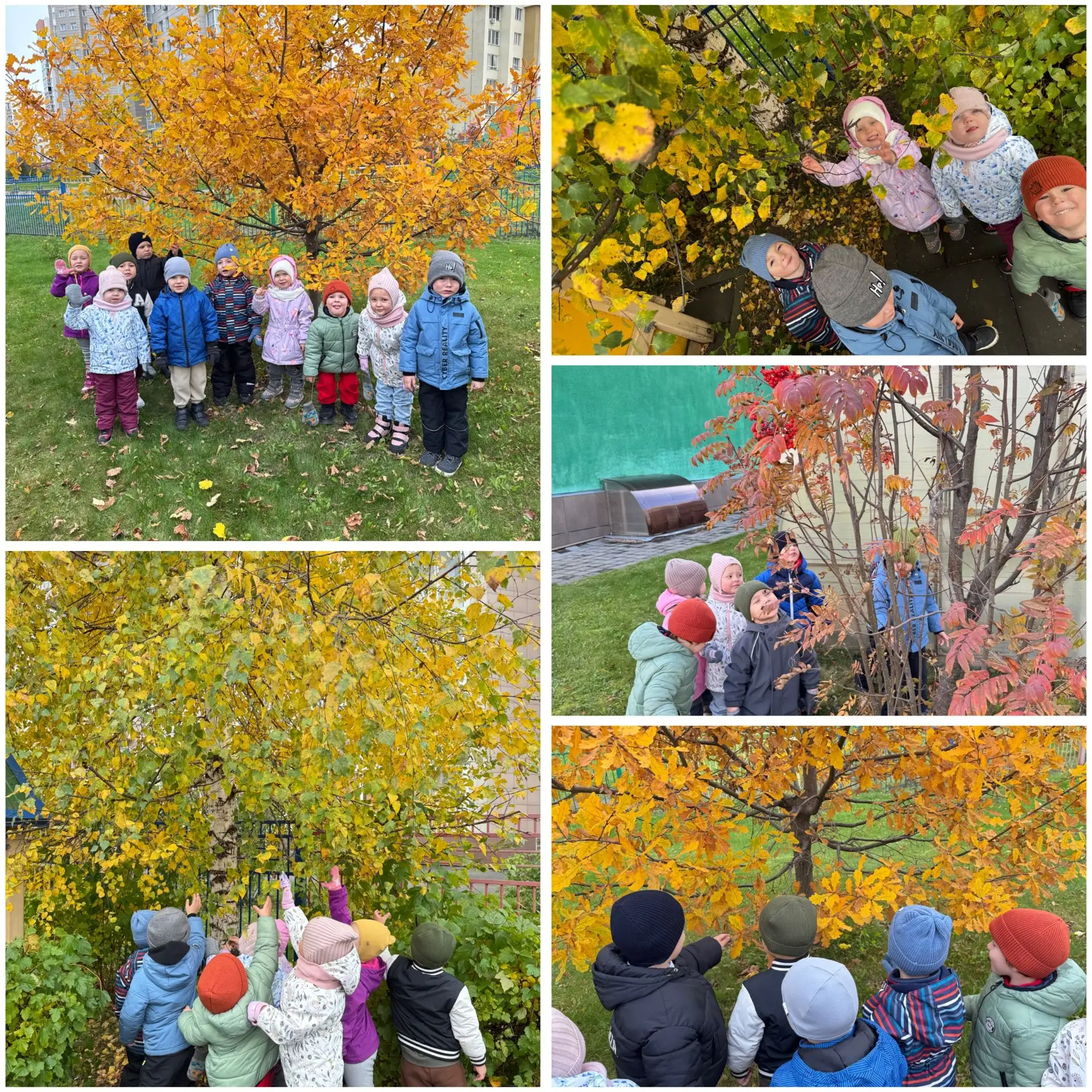 🍁Осенняя прогулка ребят из младшей группы "Мечтатели"🍂