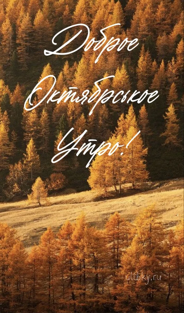 Доброе утро, Карталы🍁 опять пятница!