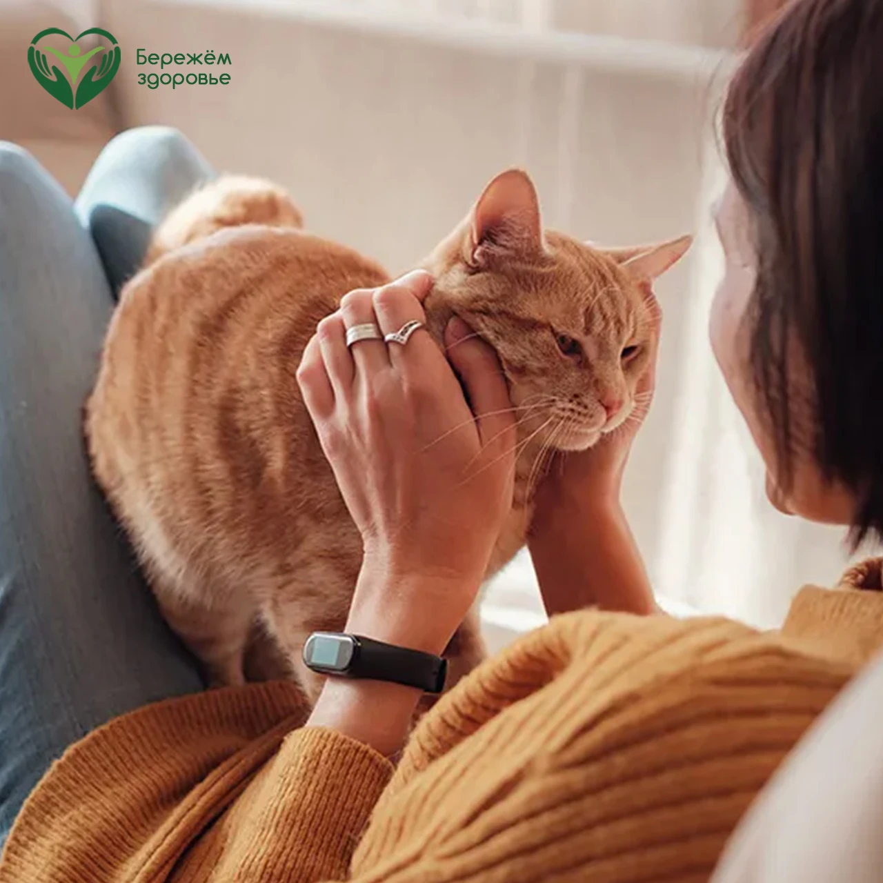 🐈 Кошки делают человека счастливее