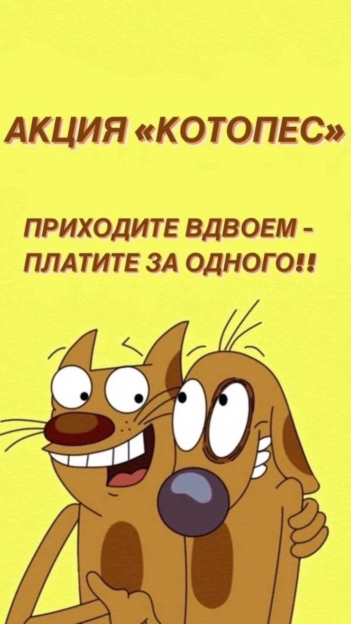 ‼УЖЕ СЕГОДНЯ (09.10.2026) с 11:00 до 17:00 в Слоне идет акция «Котопёс» – приходите вме...