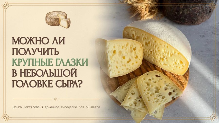 МОЖНО ЛИ ПОЛУЧИТЬ КРУПНЫЕ ГЛАЗКИ В НЕБОЛЬШОЙ ГОЛОВКЕ СЫРА?