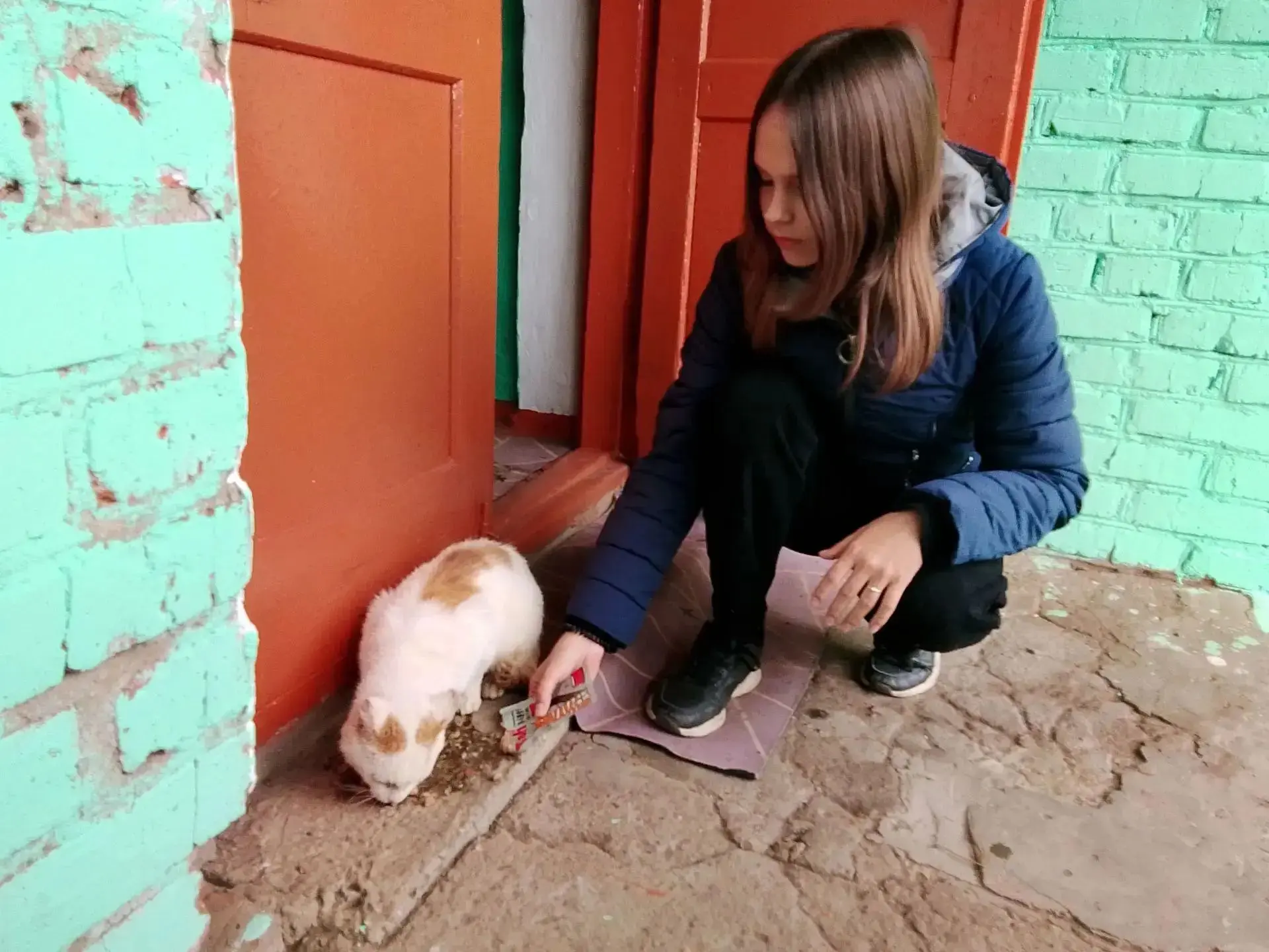 Осенняя неделя добра🐱