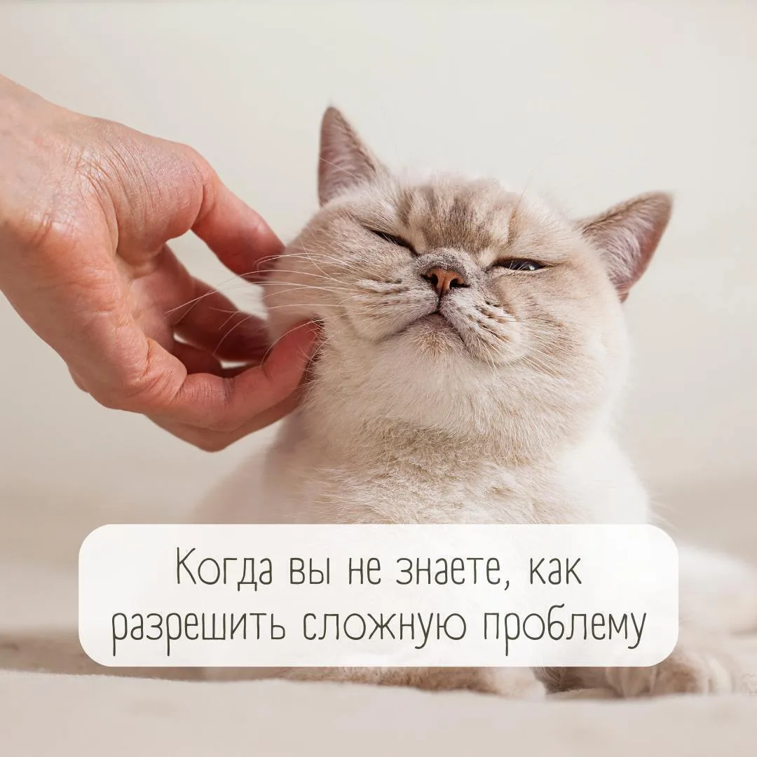 Когда вы не знаете, как разрешить сложную проблему