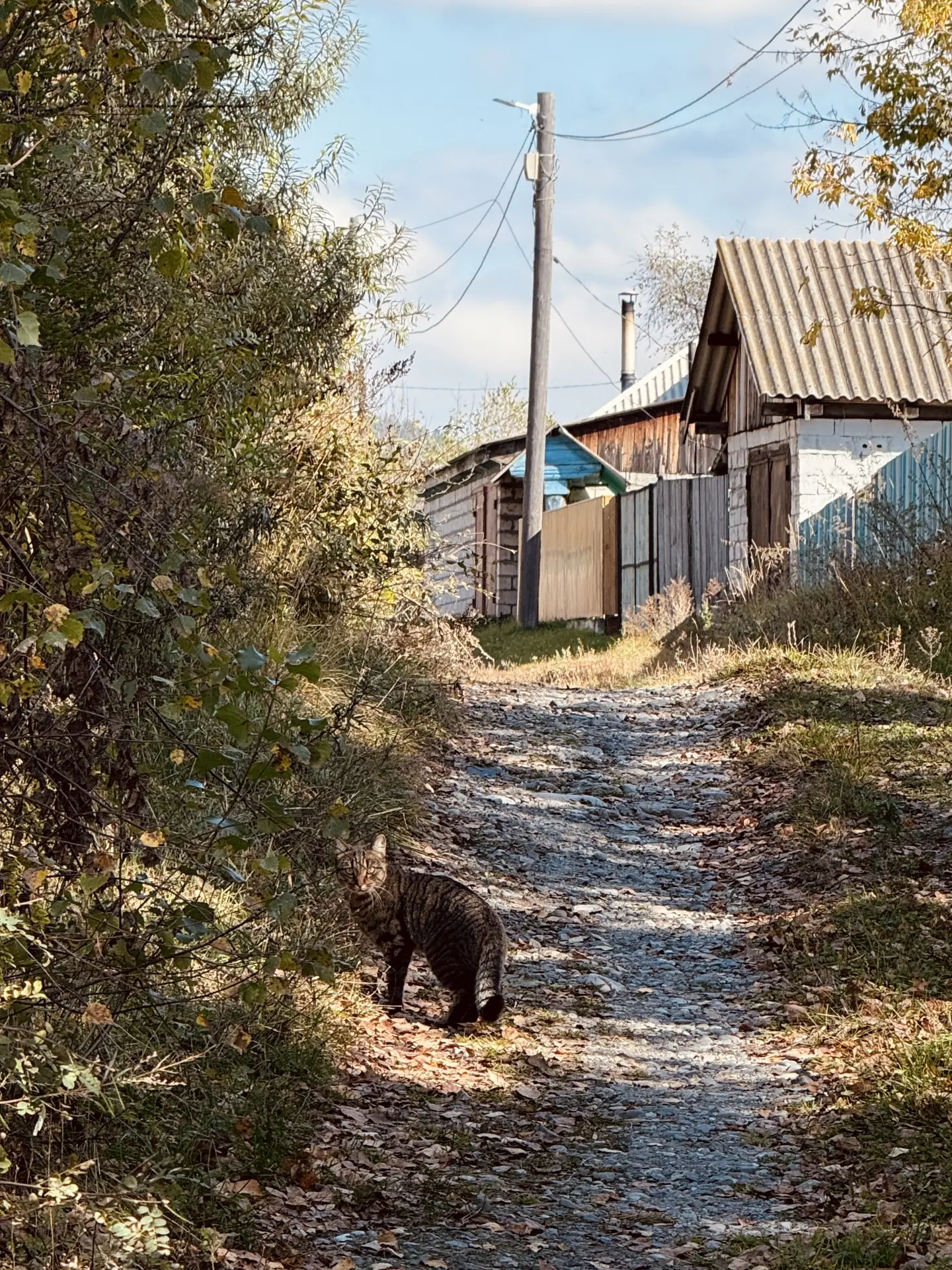 Осень🍂