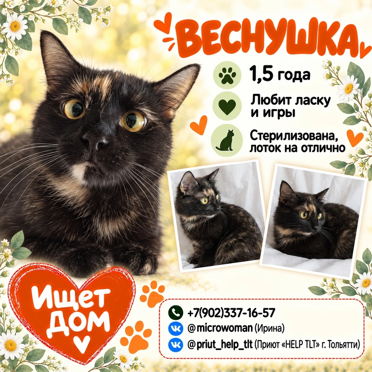 🐱 Друзья, когда Веснушка только попала к нам, даже взгляд в её сторону вызывал шипение...