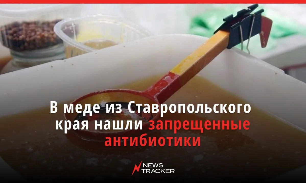 🍯 В партии натурального мёда из Ставропольского края нашли запрещённые антибиотики — м...