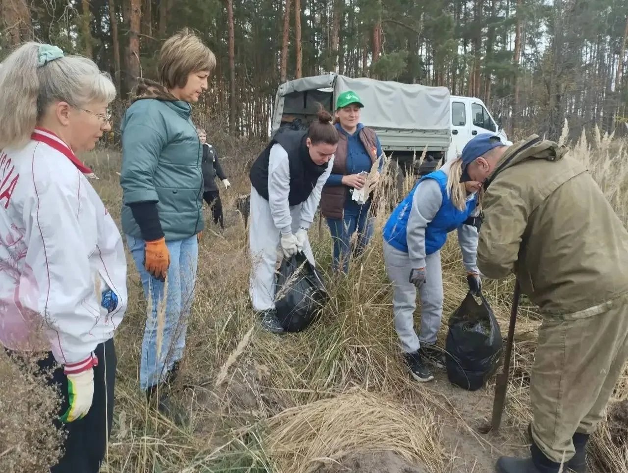 🌲 Жители села Третьяки высадили молодые сосны на окраине села.