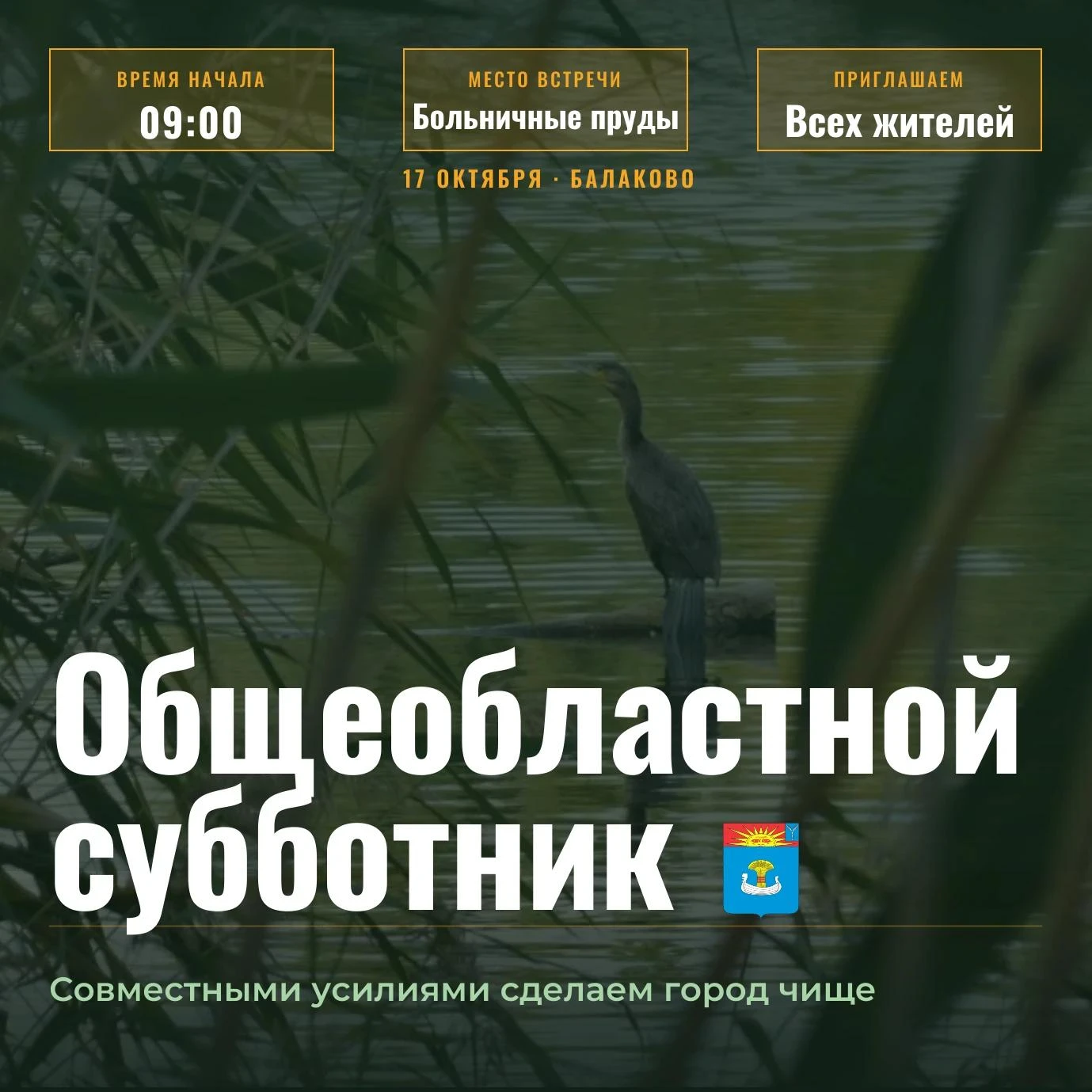 В предстоящую субботу Балаково и сёла района присоединятся к общеобластному субботнику