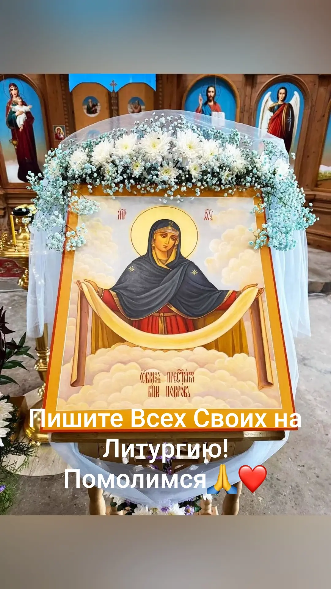 С праздником, Дорогие! Живите всегда под Покровом Пречистой!
