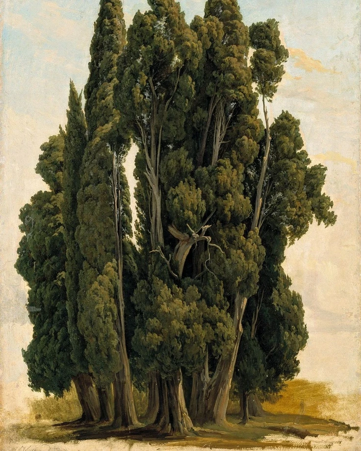 Кипарисы, 1843