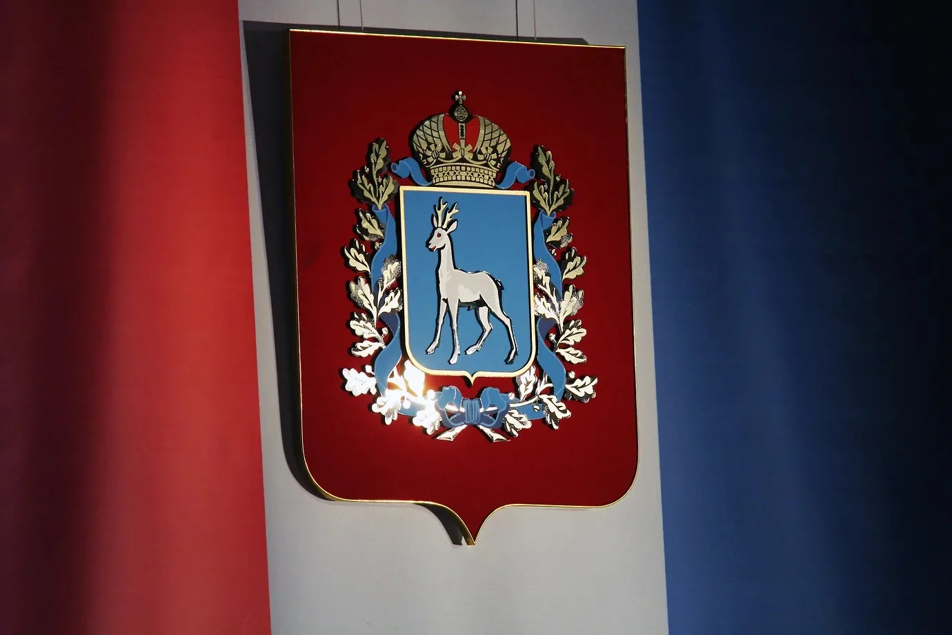 Депутаты Самарской губернской думы определили председателей комитетов