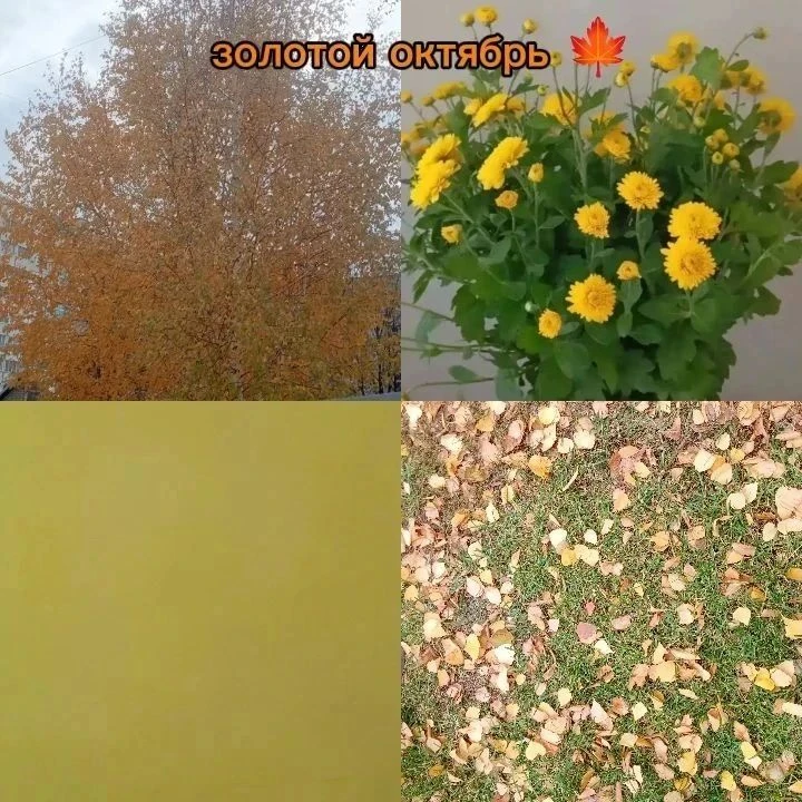 Семейный марафон 📸