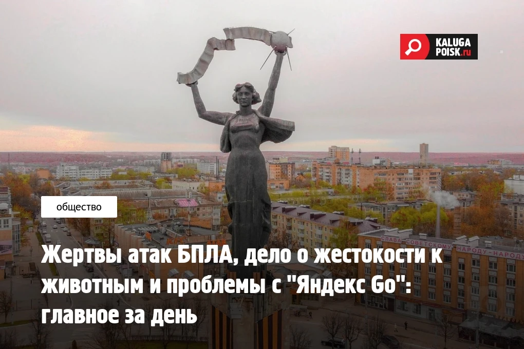 Жертвы атак БПЛА, дело о жестокости к животным и проблемы с "Яндекс Go": главное за день