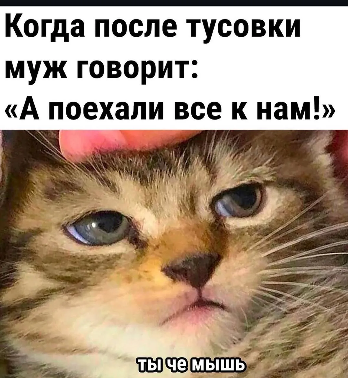🤣Юмор в картинках