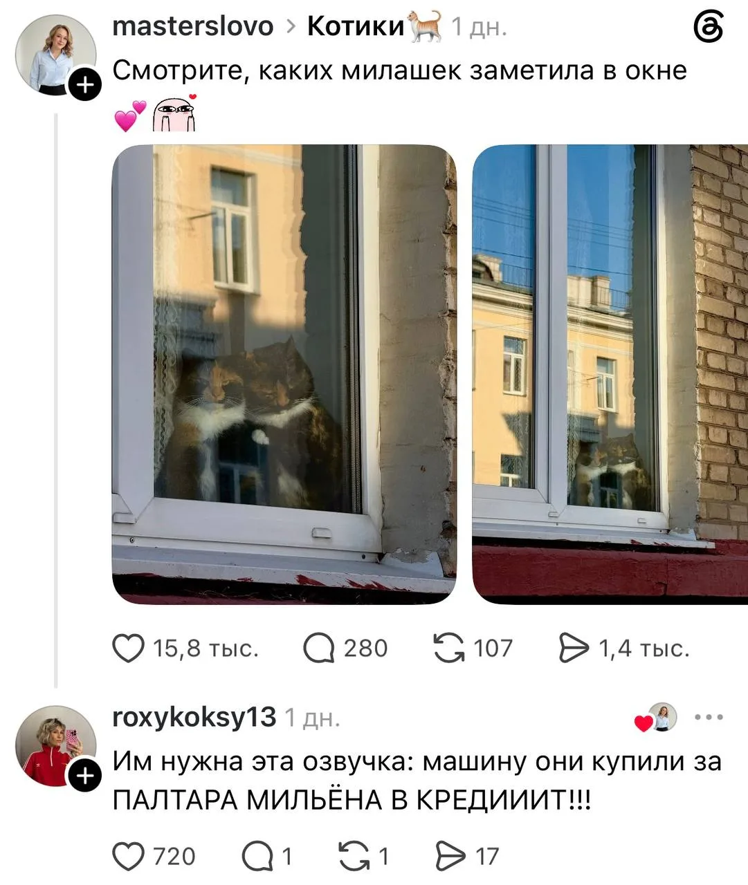 Самых милых сплетничающих котиков обнаружили в сети 😊