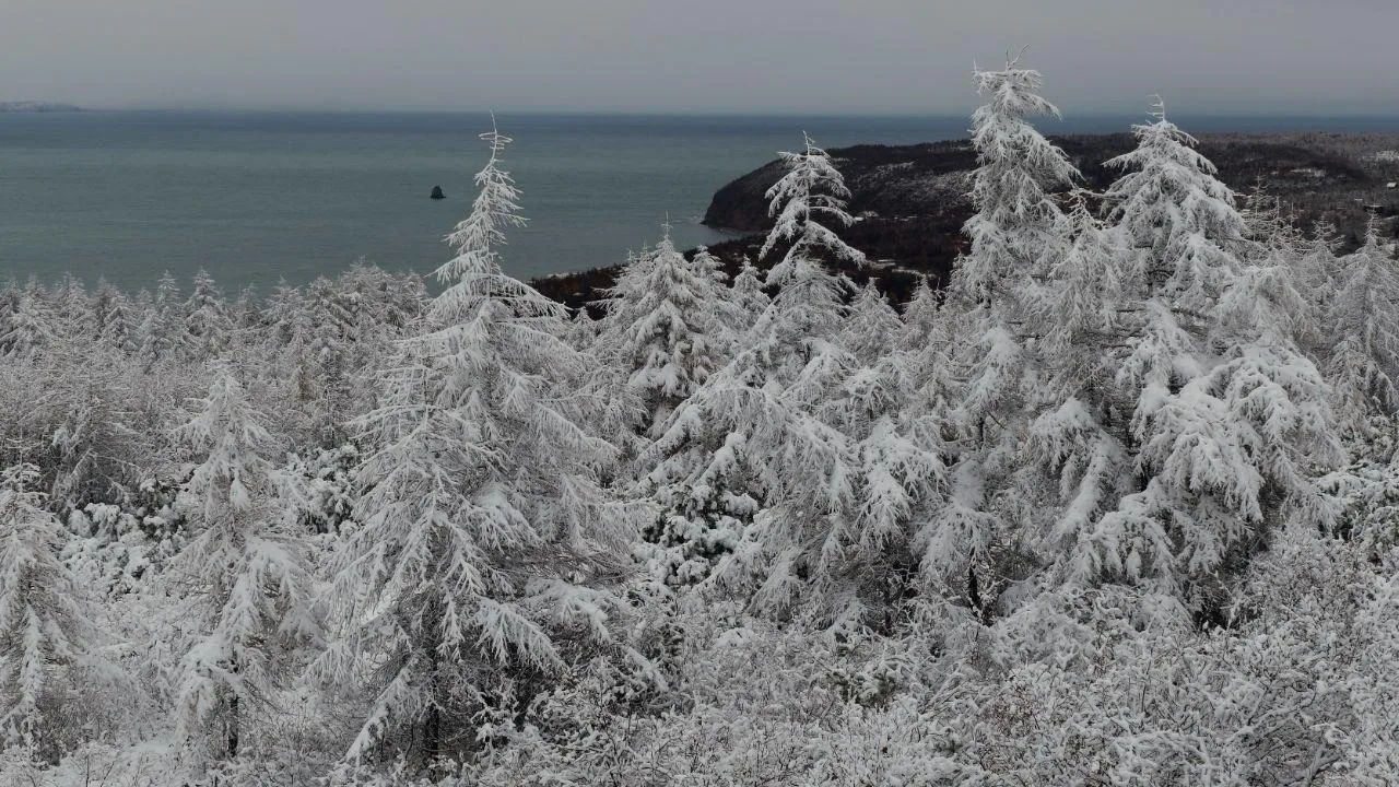 ❄️ На Нюкле уже зимнее царство