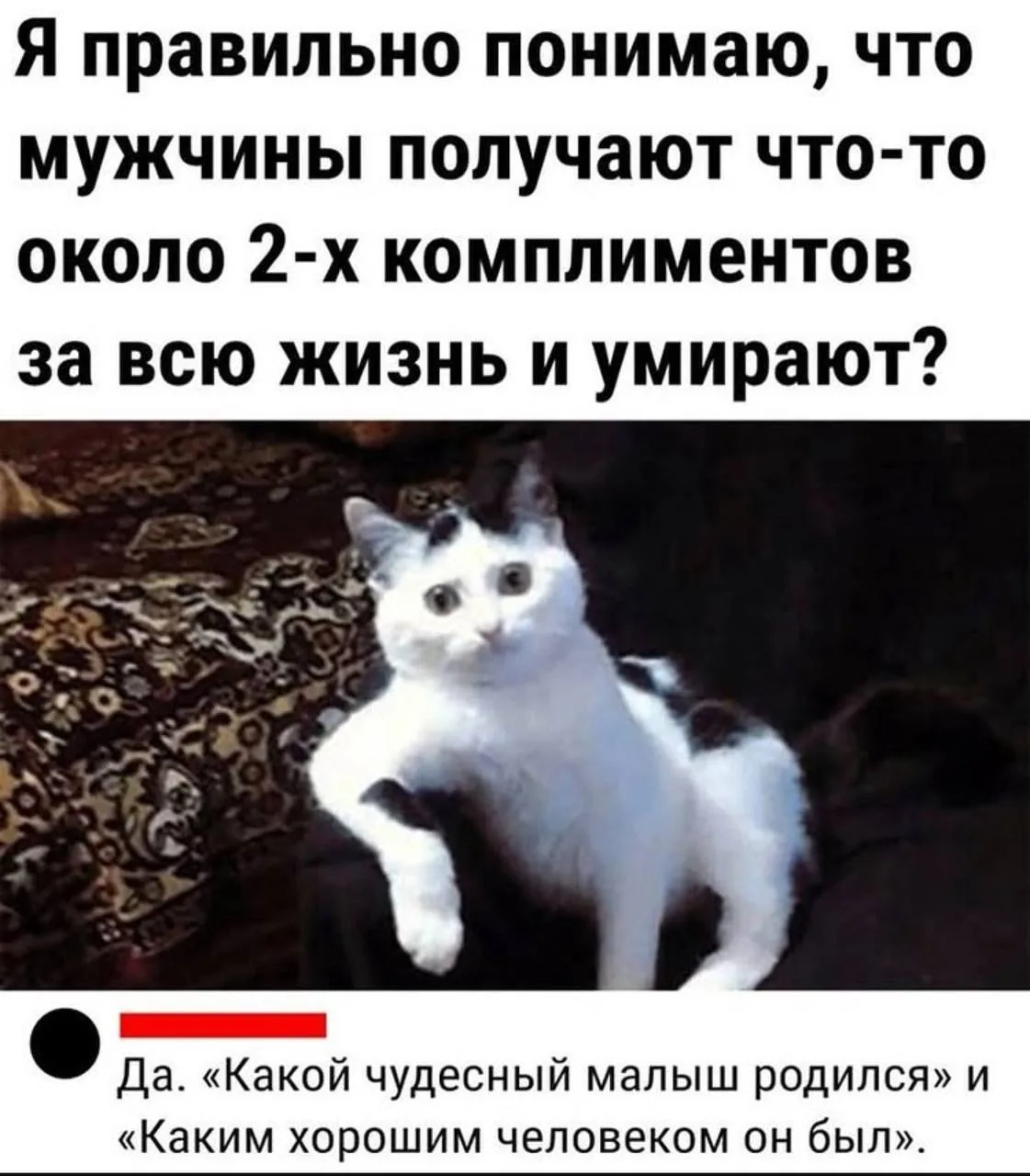 🤣Юмор в картинках