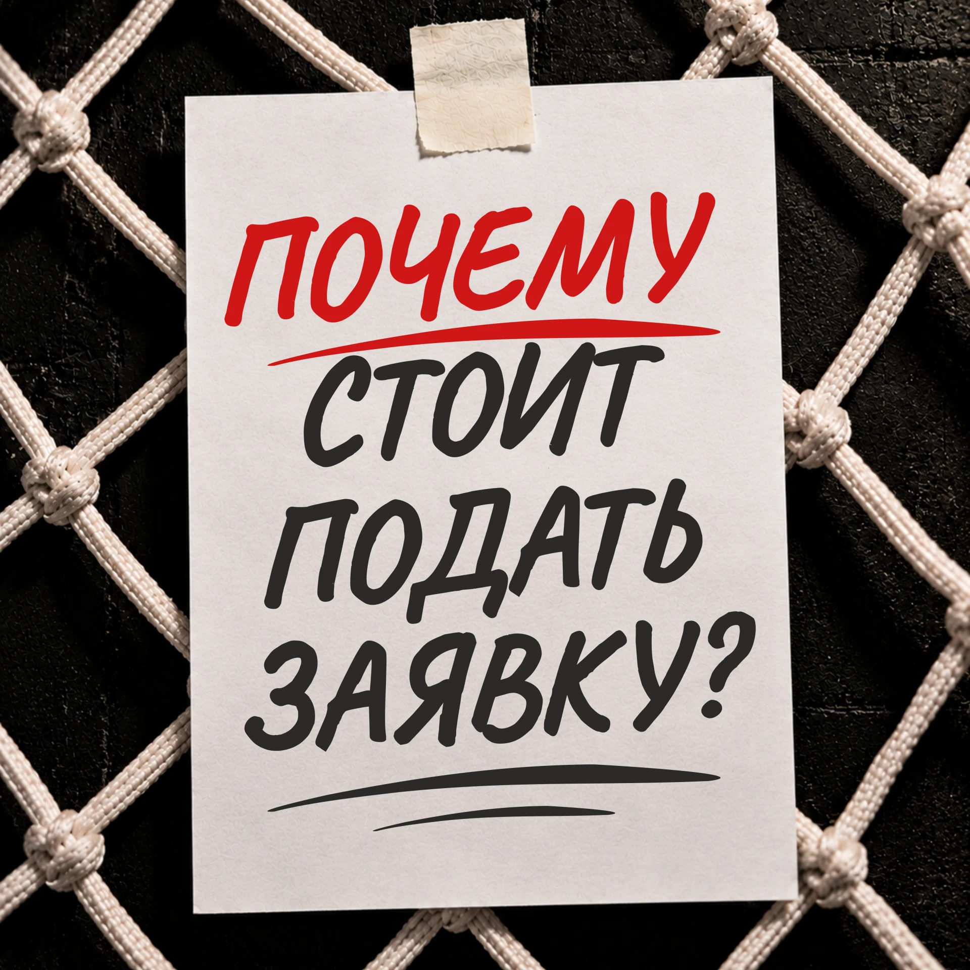 🏀 До старта XX сезона Чемпионата ШБЛ «КЭС-БАСКЕТ» остались считаные недели, а многие к...