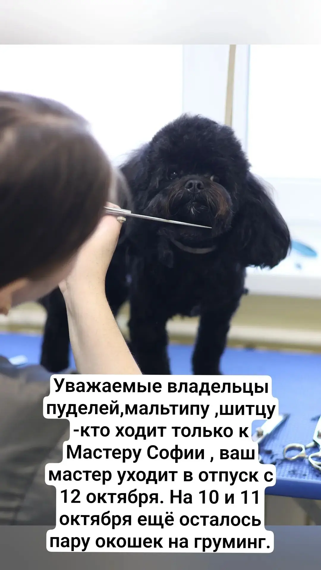 Доступное время на 10 октября: 19.00 ; 11 октября: 13,15 ,19.00