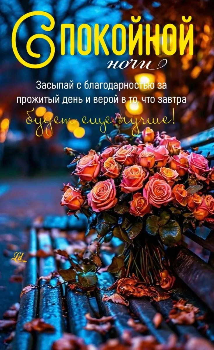 самые лучшие