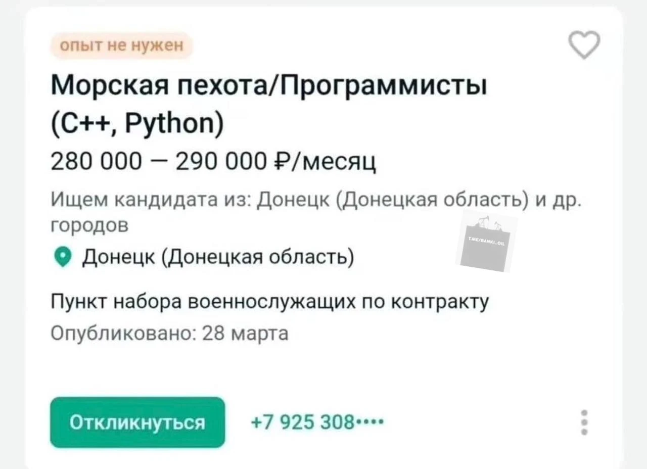 В Донецк ищут айтишников на зарплату 290 тысяч рублей
