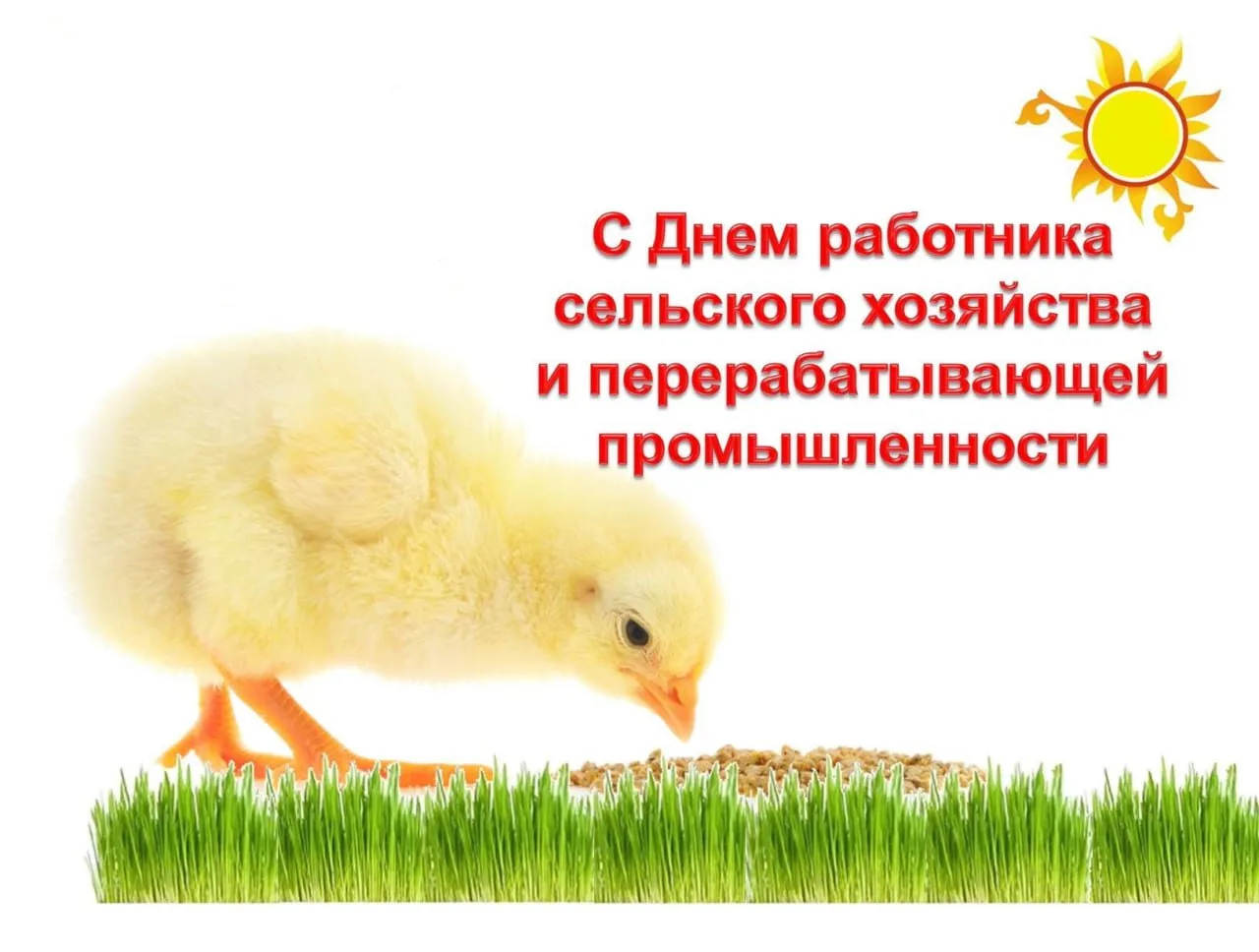 🤝 Уважаемые владельцы личных подсобных и крестьянско-фермерских хозяйств. Ветераны сел...