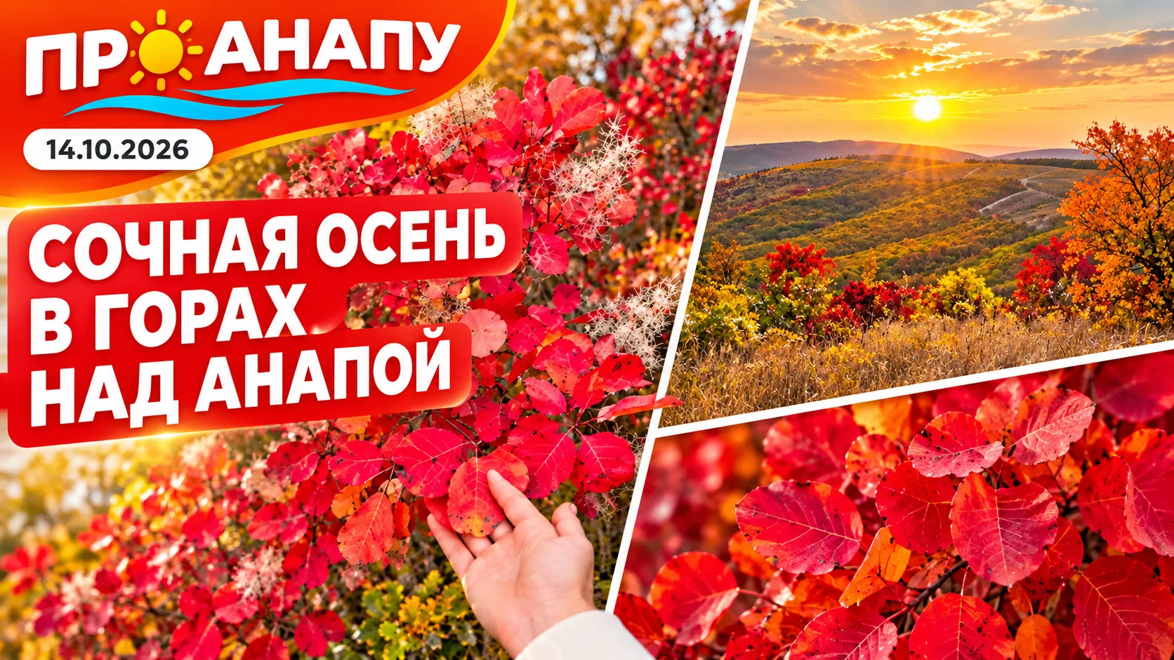 В горах над Анапой сейчас невероятно яркая и сочная осень 🍁